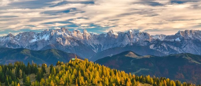 landscape-tree-nature-forest-wilderness-mountain-816613-pxhere.com